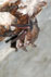 Mgharet Saleh bats