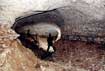 Tunnel inside Shatawie cave_photo by Issam Bou Jaoude