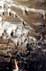 Turnips inside Shatawie cave_photo by Issam Bou Jaoude