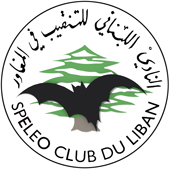 SCL logo